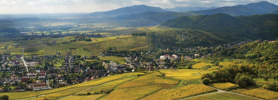 探寻阿尔萨斯葡萄酒之路（La Route des Vins d'Alsace）