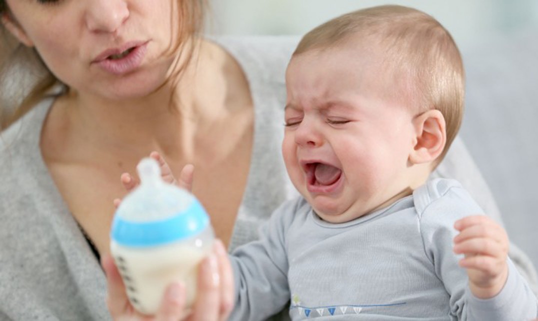 哪些奶粉更安全健康？不含棕榈油婴幼儿食品大盘点！
