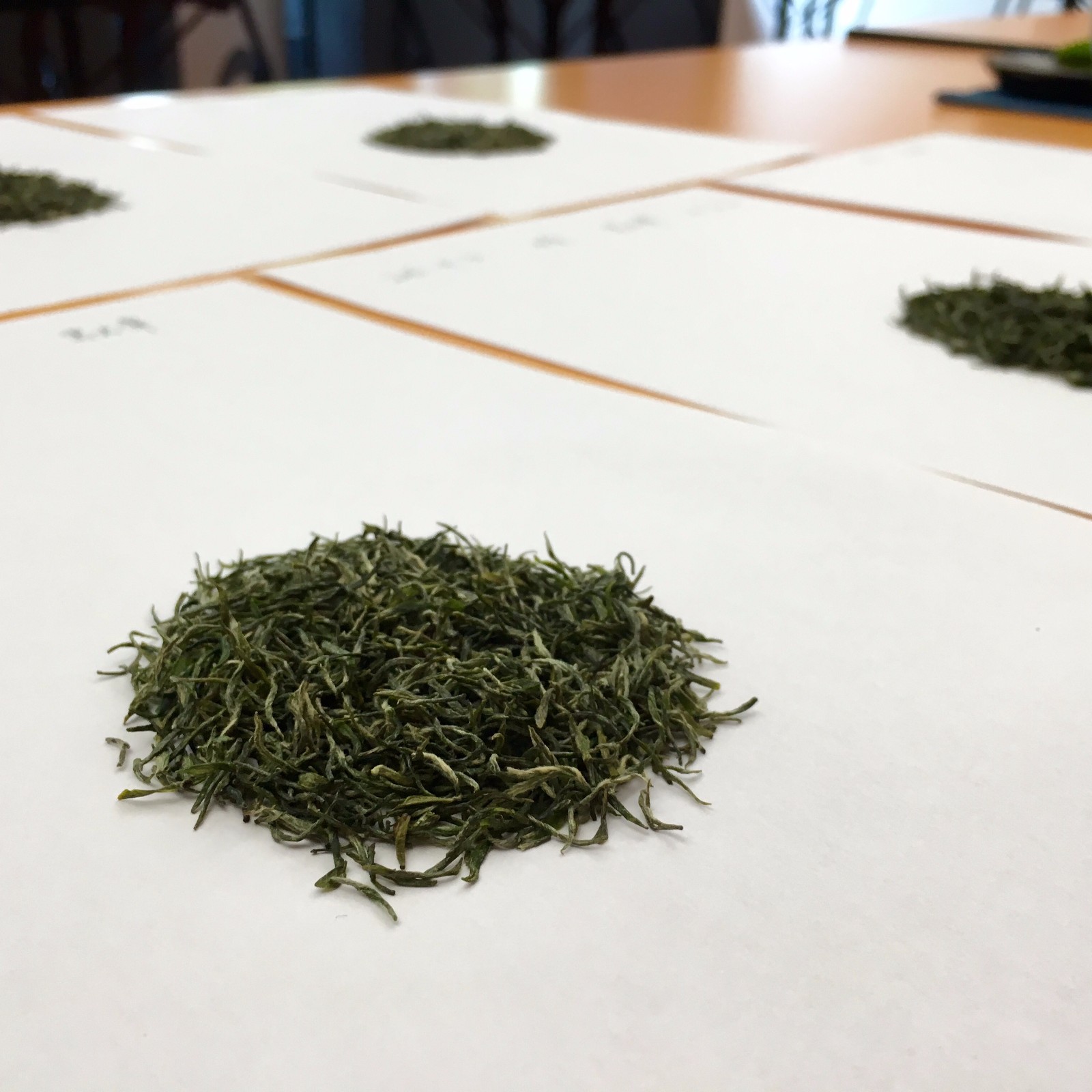 国茶初级研习班-第二节《茶之初识——绿茶灵芽》