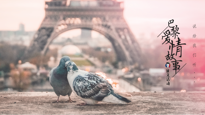 10个“巴黎爱情故事”，哪个最能打动你的心？