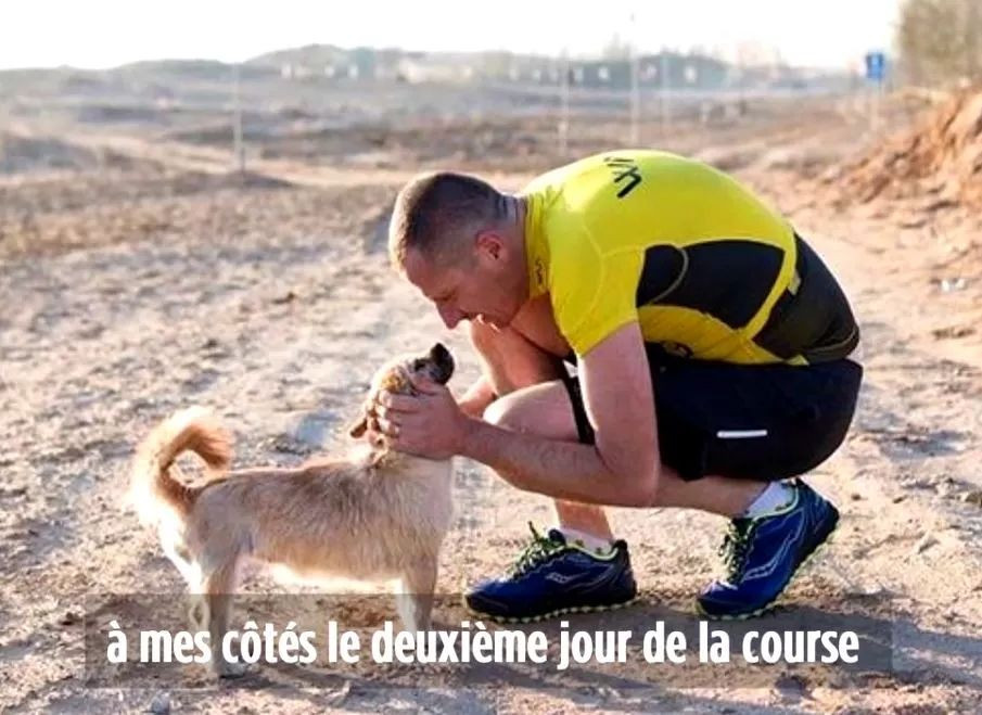 中国流浪狗成巴黎马拉松最闪耀明星：你陪我跑过大漠戈壁，我漂洋过海来找你